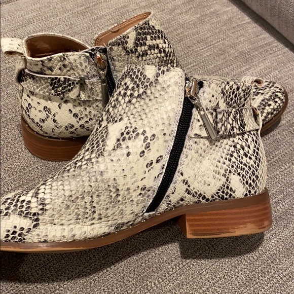 Steven by Steve Madden snake shoes 8 - worn twice - Picture 4 of 8